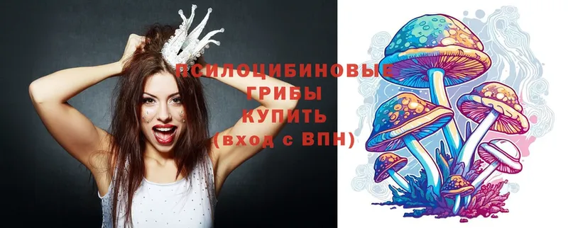 что такое   Томмот  Псилоцибиновые грибы Psilocybe 